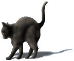 Serennu Tarot - cat logo